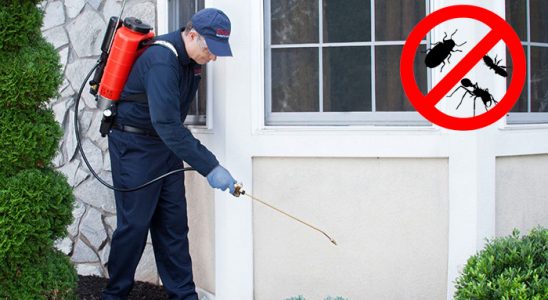 Gemlik Böcek ve Haşere İlaçlama böcek ilaçlama ve haşere kontrolü — ilaclama-tr.com